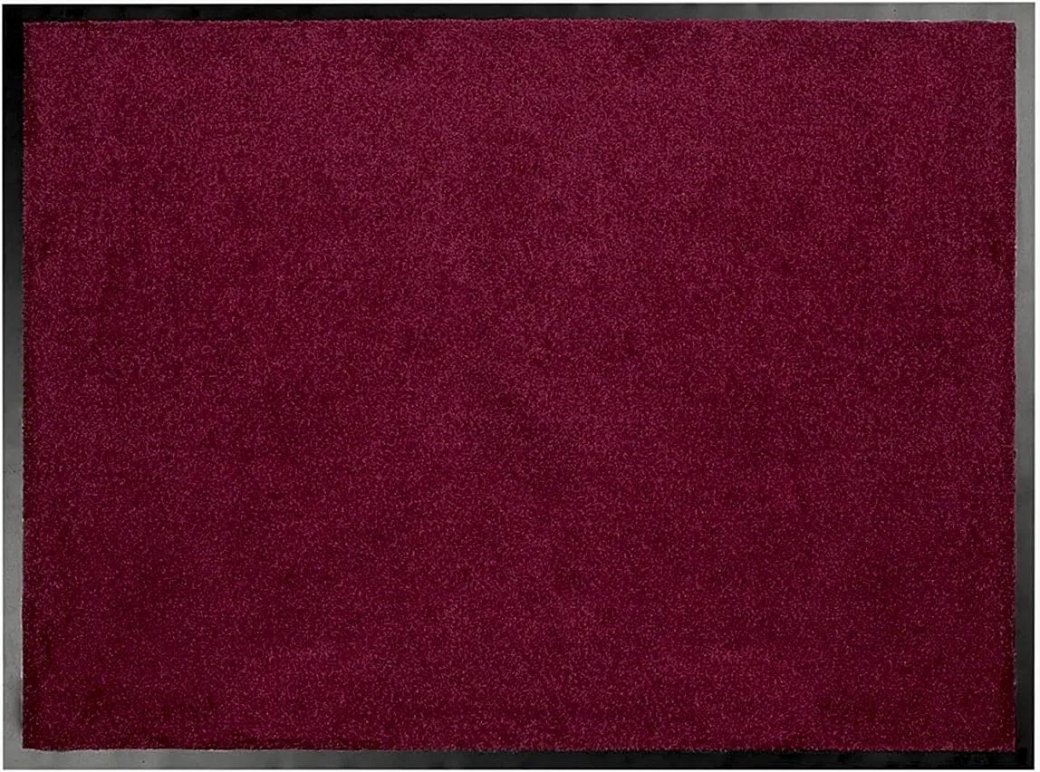 Conti Kapı Paspas Mor İç Mekan Yıkanabilir Kir tutucu Kapı önü Paspası