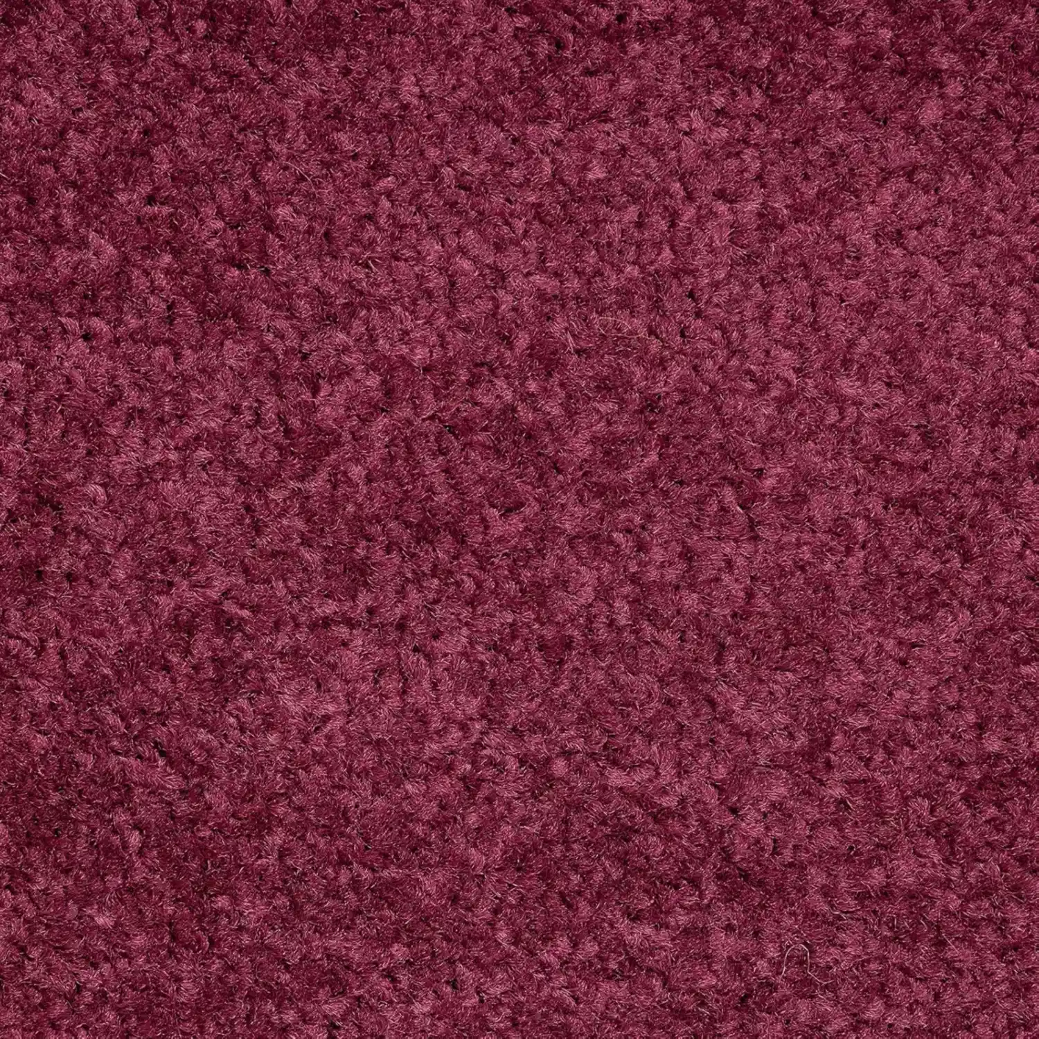 Conti Kapı Paspas Mor İç Mekan Yıkanabilir Kir tutucu Kapı önü Paspası