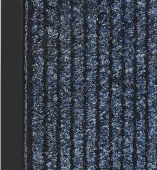 Matte Kir ve Nem Alıcı Kapı Önü Paspası Mavi